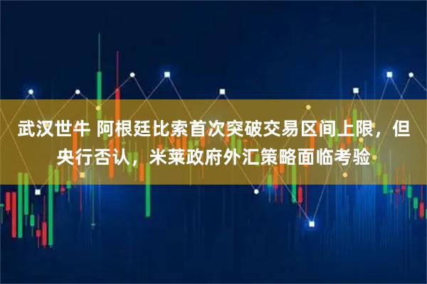 武汉世牛 阿根廷比索首次突破交易区间上限，但央行否认，米莱政府外汇策略面临考验