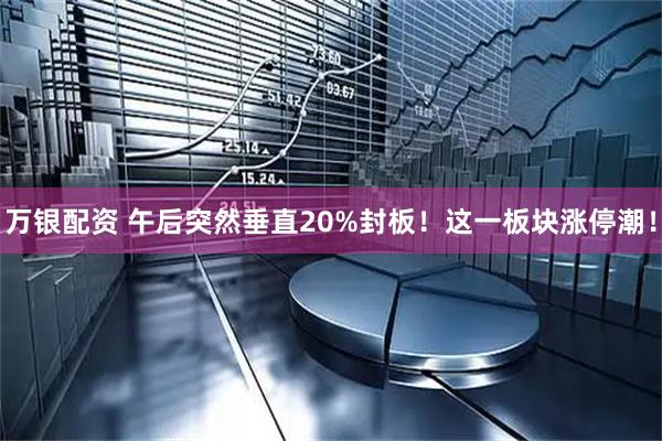 万银配资 午后突然垂直20%封板！这一板块涨停潮！