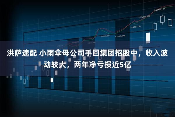 洪萨速配 小雨伞母公司手回集团招股中，收入波动较大，两年净亏损近5亿